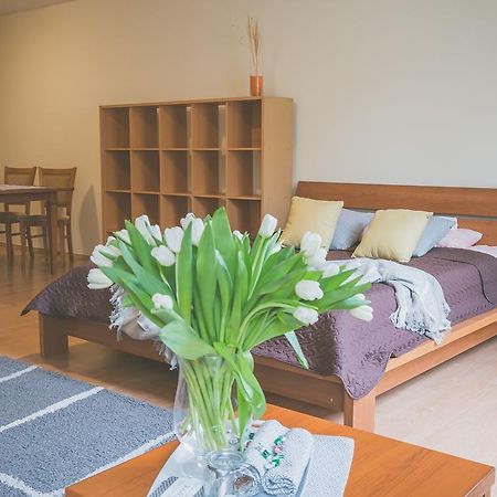 Apartamenty Przy Zamku Olsztyn  Extérieur photo