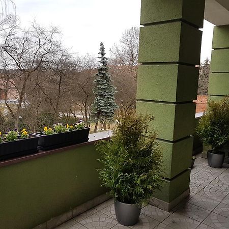 Apartamenty Przy Zamku Olsztyn  Extérieur photo